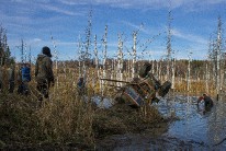 IMG_4294.jpg