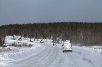 IMG_4531.jpg