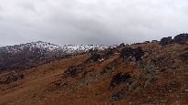 IMG_20250909_071111.jpg