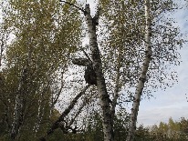 IMG_3354.JPG