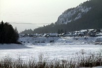 IMG_4783.jpg