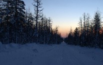IMG_4559.jpg