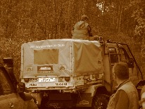 IMG_3387.JPG