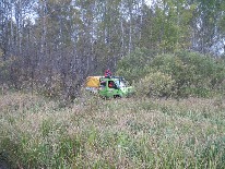 IMG_3379.JPG