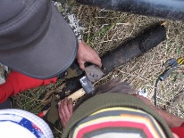 IMG_3363.JPG