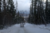 IMG_4604.jpg