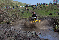 IMG_8713.jpg