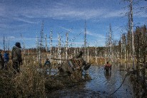 IMG_4289.jpg