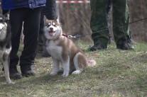 IMG_5446.jpg