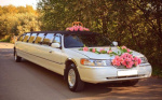 Заказ автомобиля на свадьбу