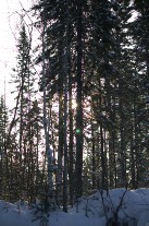IMG_4464.jpg