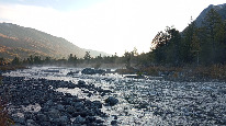 IMG_20250907_071739.jpg