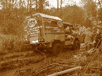 IMG_3392.JPG