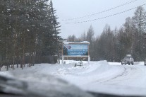 IMG_4684.jpg