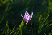 IMG_7790.jpg