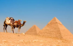 Туры в Египет. Что взять с собой?