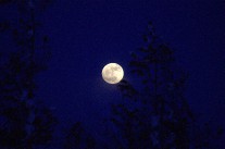 IMG_4567.jpg