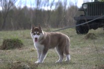 IMG_5453.jpg