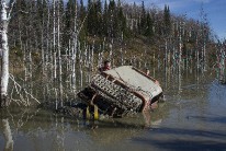 IMG_4193.jpg