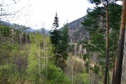 IMG_7252.jpg