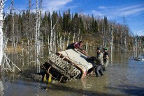 IMG_4195.jpg