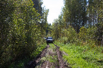 IMG_3290.jpg
