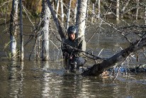 IMG_4264.jpg