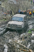 IMG_7321.jpg