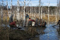 IMG_4279.jpg