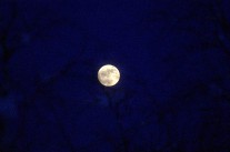 IMG_4568.jpg
