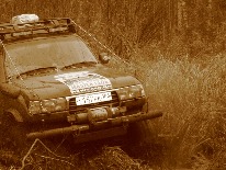 IMG_3389.JPG
