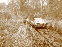 IMG_3398.JPG