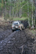 IMG_7298.jpg
