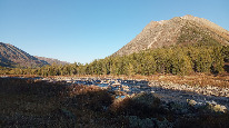 IMG_20250906_183216.jpg