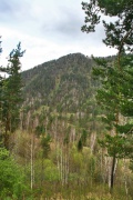 IMG_7253.jpg