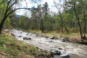 IMG_7257.jpg