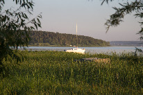 IMG_0164.jpg