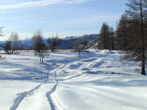 Маршрут 3 к.с. Баргаш. Алтай. 6-9 марта 2026