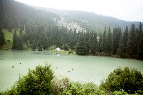 Sample-0011.jpg