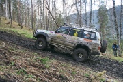 IMG_7318.jpg