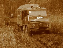 IMG_3390.JPG
