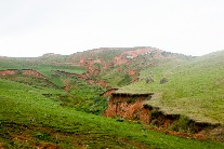 Sample-0040.jpg