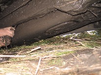 IMG_3412.JPG