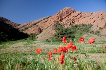 Sample-0057.jpg