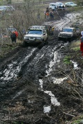 IMG_7305.jpg