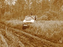 IMG_3383.JPG