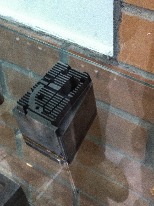IMG_4230.jpg