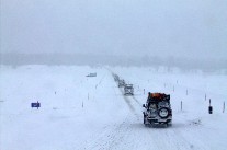 IMG_4860.jpg