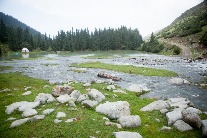 Sample-0015.jpg