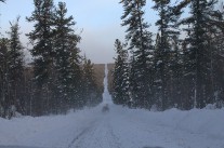 IMG_4552.jpg